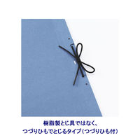 アスクル　背幅伸縮ファイル（PPラミネート表紙）　つづりひもタイプ　A4タテ　ブルー　9冊  オリジナル