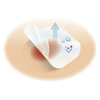 スリーエム 3M テガダーム コンフォート ドレッシング 1684