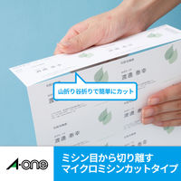 エーワン（A-one）CD/DVDインデックスカード 片面光沢 インクジェット  148×296mm  2面  10シート 51158×3袋
