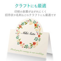 エレコム スーパーファイン紙 高画質用 標準 両面 A4 100枚 EJK-SRHPA4100 1個（直送品）