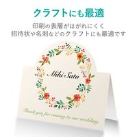 エレコム スーパーファイン紙 高画質用 薄手 片面 A4 50枚 EJK-SUPA450