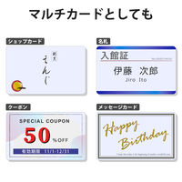 エレコム カット済み名刺用紙 マルチプリント紙 特殊 100枚 白 角丸 MT-JMC2RWN 1個