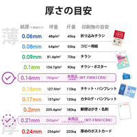 エレコム マルチカード 名刺 マイクロミシンカット 厚口 透明 A4 10面 1袋（2シート入）