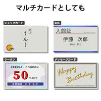 名刺用紙 マルチカード マイクロミシン インクジェット特殊紙 厚口 白 和柄 A4 MT-WMN1SI エレコム 1個（3シート入）