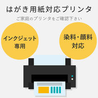 エレコム 料金別納ハガキ スーパーファイン紙(100枚入) EJH-BH100 1個（直送品）