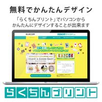エレコム はがきテストプリント用紙 マルチプリント紙 50枚入 EJH-TEST50 1個