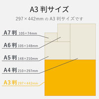 エレコム 光沢写真用紙／光沢紙厚手／Ａ３／２０枚 EJK-GANA320 1パック（20枚入）