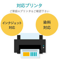 エレコム アイロンプリントペーパー/ナイロン化繊用/A4/2枚 EJP-NP1 1個