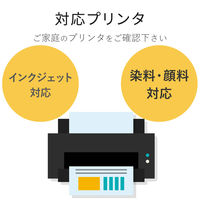 エレコム 手作りうちわキット インクジェット フォト光沢紙 標準サイズ A4 白 1セット EJP-UWLWH 1個