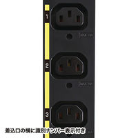 サンワサプライ サーバーラック用コンセント 19インチ用 IEC C13/12個口/3m/200V・30A TAP-SV23012（直送品）
