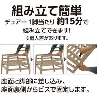 タカショー アリア チェア ブラウン クッション付 NAR-C01BR 1脚（直送品）