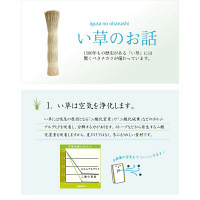 イケヒコ い草 置き畳 ユニット畳 無地 『楽座』 江戸間 約88×176×2.2cm 2枚セット（直送品）