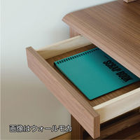 小島工芸 JDシリーズ 引き出し ホワイト 国産 JD-オプション引き出し 1個（直送品）