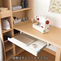 小島工芸 JDシリーズ スライドトレー ウォールモカ 国産 JD-スライドトレー 1個（直送品）