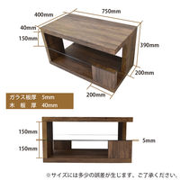 B.Bファニシング SAND（サンド） センターテーブル ブラウン 幅750×奥行400×高さ390mm SNCT-75BR 1台（直送品）