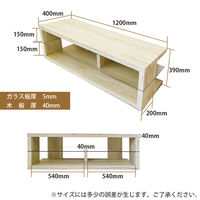 B.Bファニシング SAND（サンド） テレビ台 ホワイト 幅1200×奥行400×高さ390mm SNTB-120WH 1台（直送品）
