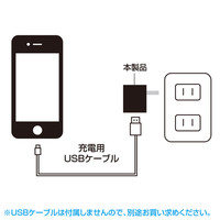 サンワサプライ 超小型USB充電器（1A出力・ブラック） ACA-IP32BKN 1個（直送品）