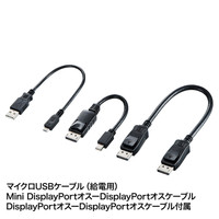 サンワサプライ DisplayPort MSTハブ(HDMI×2) AD-MST2HD 1個（直送品）