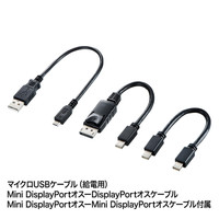 サンワサプライ DisplayPort MSTハブ（DisplayPort/HDMI/VGA） AD-MST3DPHDV 1個（直送品）