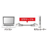サンワサプライ ツメ折れ防止カテゴリ5eSTP LANケーブル 5m ライトグレー KB-STPTS-05 1個