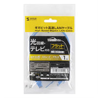 サンワサプライ カテゴリ6フラットLANケーブル LA-FL6-01BL 1本