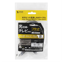 サンワサプライ カテゴリ6フラットLANケーブル LA-FL6-02BK 1本（直送品）