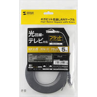 サンワサプライ カテゴリ6フラットLANケーブル 5m ブラック LA-FL6-05BK（直送品）