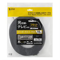 サンワサプライ カテゴリ6フラットLANケーブル LA-FL6-15BK 1本（直送品）