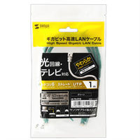 サンワサプライ カテゴリ6UTP LANケーブル LA-Y6-01G 1本（直送品）