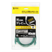 サンワサプライ カテゴリ6UTP LANケーブル LA-Y6-02G 1本