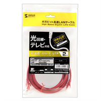 サンワサプライ カテゴリ6UTP LANケーブル LA-Y6-02R 1本