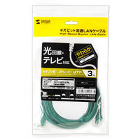 サンワサプライ カテゴリ6UTP LANケーブル LA-Y6-03G 1本
