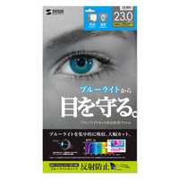 サンワサプライ 23.0型ワイド対応ブルーライトカット液晶保護指紋反射防止フィルム LCD-230WBCAR 1枚（直送品）