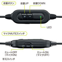 サンワサプライ USBヘッドセット MM-HSUSB17BK 1個（直送品）