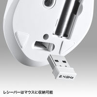 サンワサプライ マウス付きワイヤレスキーボード SKB-WL25SETW 1個