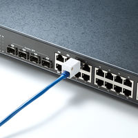 サンワサプライ LANケーブルロック SL-78 1個（直送品）