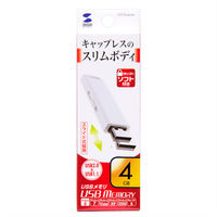 サンワサプライ USB2.0 メモリ UFD-SL4GWN 1個