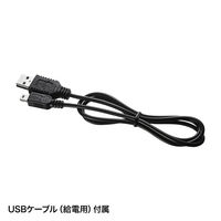 サンワサプライ HDMI信号コンポジット変換コンバーター VGA-CVHD3 1個