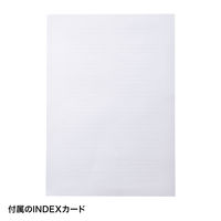 サンワサプライ ブルーレイディスク対応A4リフィルシート(5シート入り・ホワイト) FCD-RLBD30W 1個（直送品）