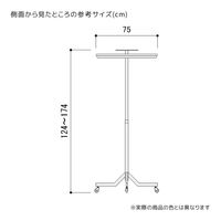 ストア・エキスプレス スタッキング ラウンドハンガー クローム 2019-410（直送品）