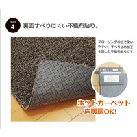 イケヒコ ラグ 3畳タイプ 洗える 『ノベル』 オレンジ 約200×250cm すべりにくい裏地加工 3964429 1枚（直送品）