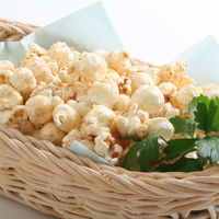 業務用 ポップコーンシーズニング 塩キャラメル150g 1セット（2個入） マコーミック ユウキ食品