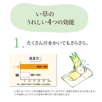 イケヒコ 国産い草シーツ（寝ござ） 『球磨川』 ブルー シングル約88×180cm（熊本県八代産イ草使用） 1枚（直送品）