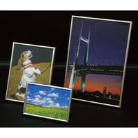 アーテック メタリックフレーム A4 193502 1個