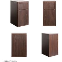 宮武製作所 ダストボックス Empro エンプロー 20L 幅250×奥行300×高さ480mm ブラウン DB-480_BR 1台（直送品）