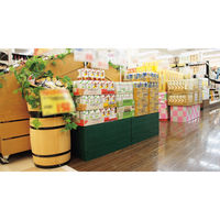 【折りたたみコンテナ】 岩谷マテリアル I’mD グリッドコンテナー ホワイト SKGC W 1個