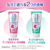 歯磨き粉 ホワイトニング クリアクリーンNEXDENT ホワイトニング クリアミント 120g 花王