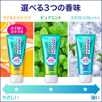 歯磨き粉 フッ素 クリアクリーンNEXDENT（ネクスデント） エクストラフレッシュ 120g 花王 虫歯・口臭・歯肉炎