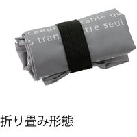 ヘッズ マイチョイスエコバッグポリエステル/ボヌール-2 EBP-BNR2 1セット(10枚:5枚×2パック)（直送品）