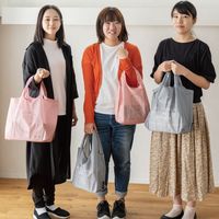 ヘッズ マイチョイスエコバッグポリエステルエレガントスイート-2 EBP-EGS2 1セット(10枚:5枚×2パック)（直送品）